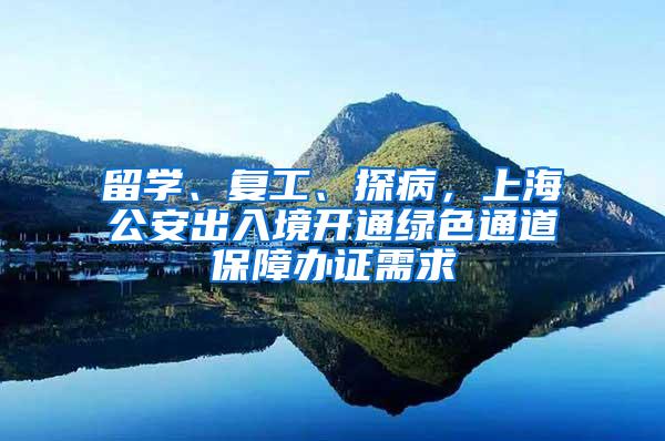 留学、复工、探病，上海公安出入境开通绿色通道保障办证需求