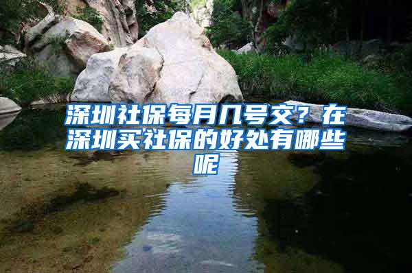 深圳社保每月几号交？在深圳买社保的好处有哪些呢