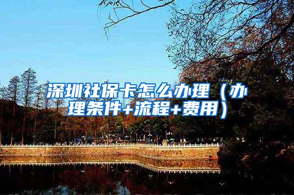 深圳社保卡怎么办理（办理条件+流程+费用）