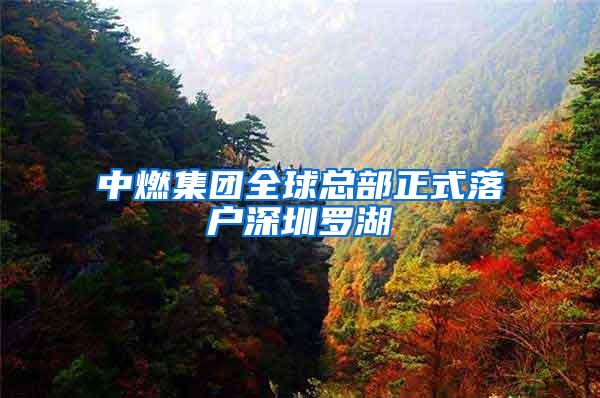 中燃集团全球总部正式落户深圳罗湖