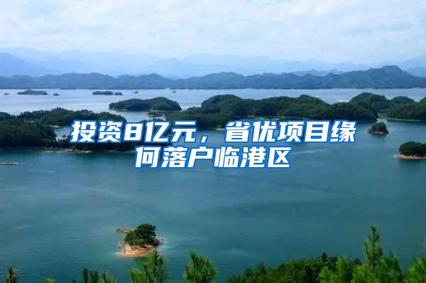 投资8亿元，省优项目缘何落户临港区