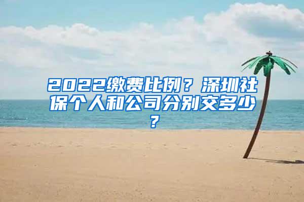 2022缴费比例？深圳社保个人和公司分别交多少？