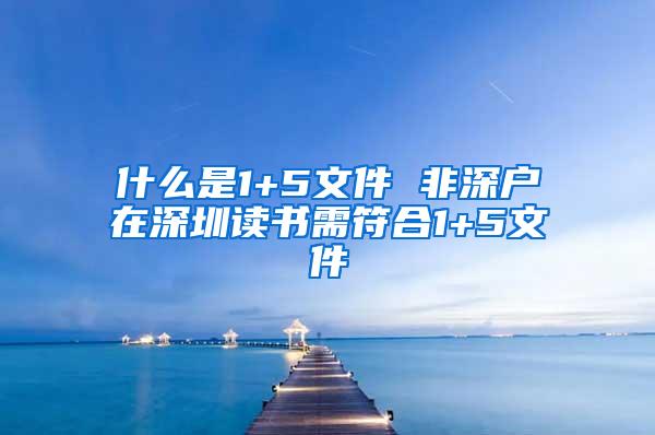 什么是1+5文件 非深户在深圳读书需符合1+5文件