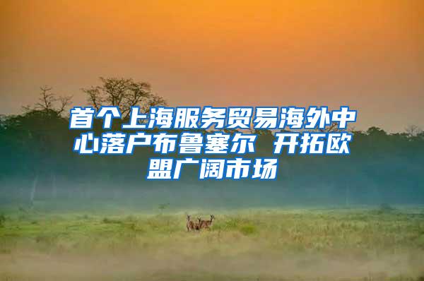 首个上海服务贸易海外中心落户布鲁塞尔 开拓欧盟广阔市场