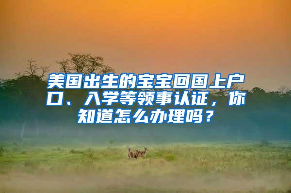 美国出生的宝宝回国上户口、入学等领事认证，你知道怎么办理吗？