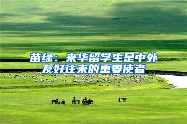 苗绿：来华留学生是中外友好往来的重要使者