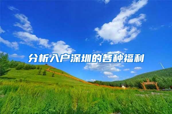 分析入户深圳的各种福利