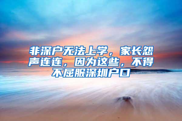 非深户无法上学，家长怨声连连，因为这些，不得不屈服深圳户口
