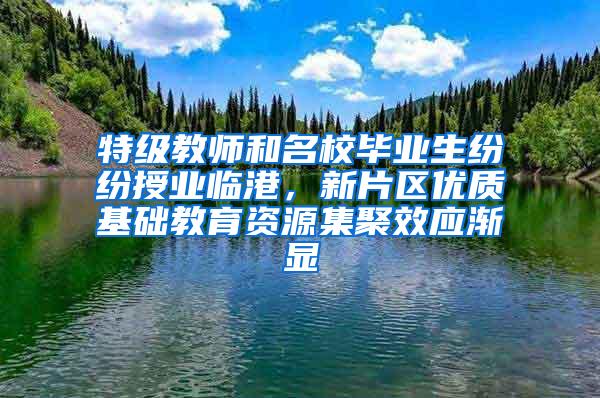 特级教师和名校毕业生纷纷授业临港，新片区优质基础教育资源集聚效应渐显