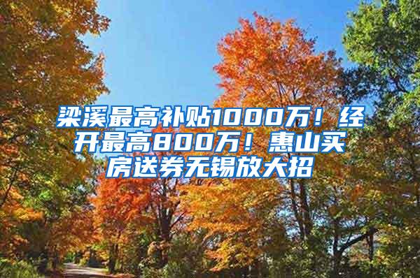 梁溪最高补贴1000万！经开最高800万！惠山买房送券无锡放大招