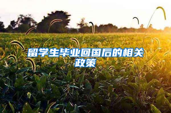 留学生毕业回国后的相关政策