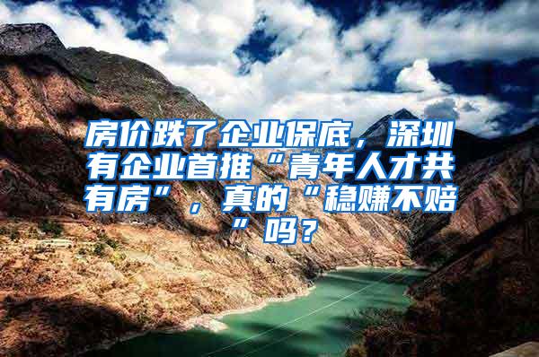 房价跌了企业保底，深圳有企业首推“青年人才共有房”，真的“稳赚不赔”吗？
