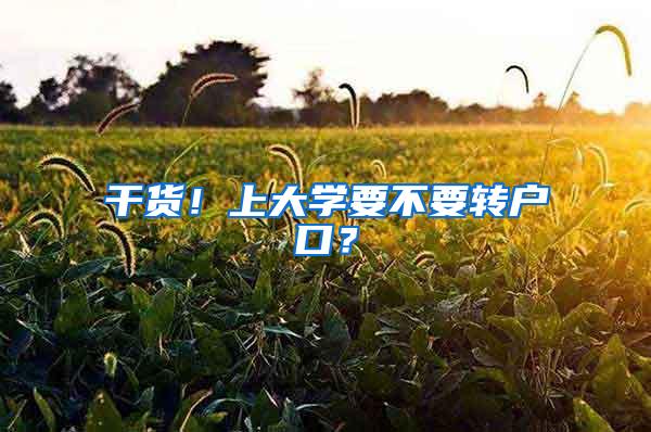 干货！上大学要不要转户口？
