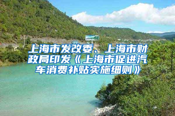 上海市发改委、上海市财政局印发《上海市促进汽车消费补贴实施细则》