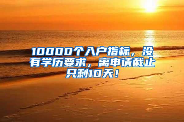 10000个入户指标，没有学历要求，离申请截止只剩10天！