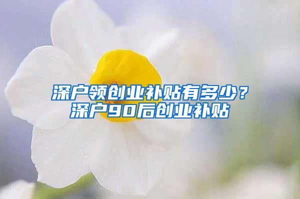 深户领创业补贴有多少？深户90后创业补贴