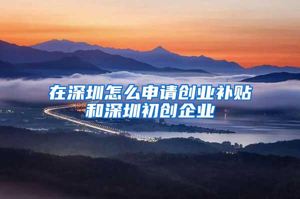 在深圳怎么申请创业补贴和深圳初创企业