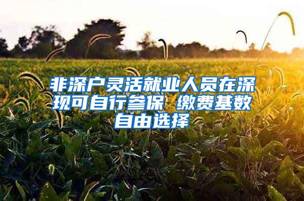 非深户灵活就业人员在深现可自行参保 缴费基数自由选择