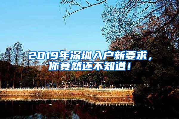 2019年深圳入户新要求，你竟然还不知道！