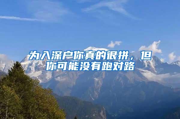 为入深户你真的很拼，但你可能没有跑对路