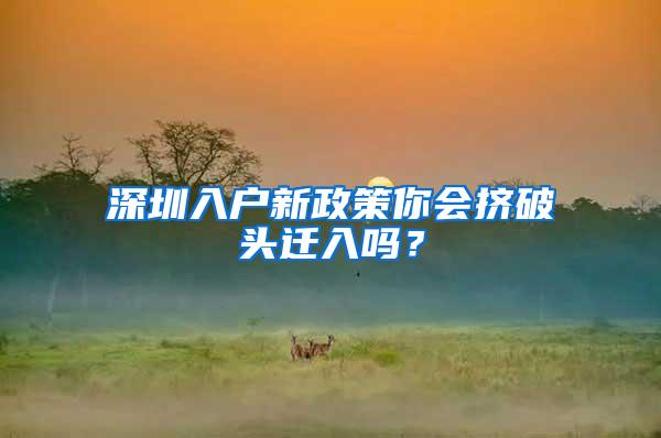 深圳入户新政策你会挤破头迁入吗？