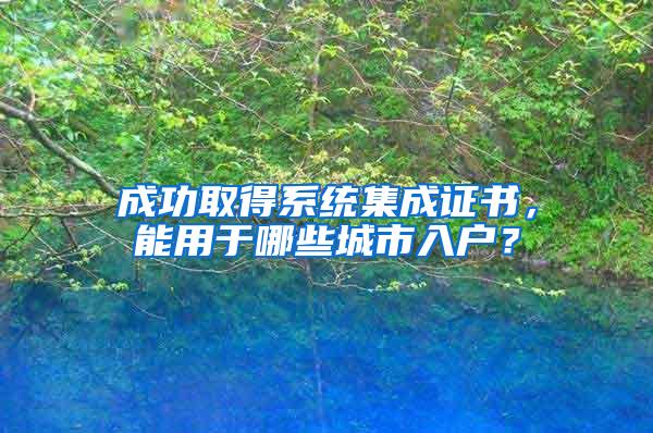 成功取得系统集成证书，能用于哪些城市入户？