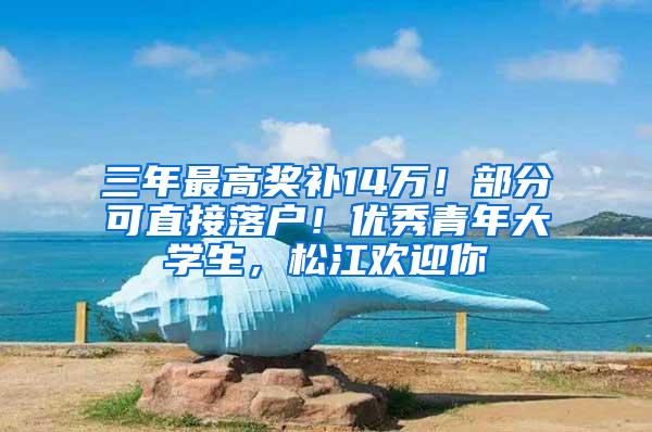 三年最高奖补14万！部分可直接落户！优秀青年大学生，松江欢迎你