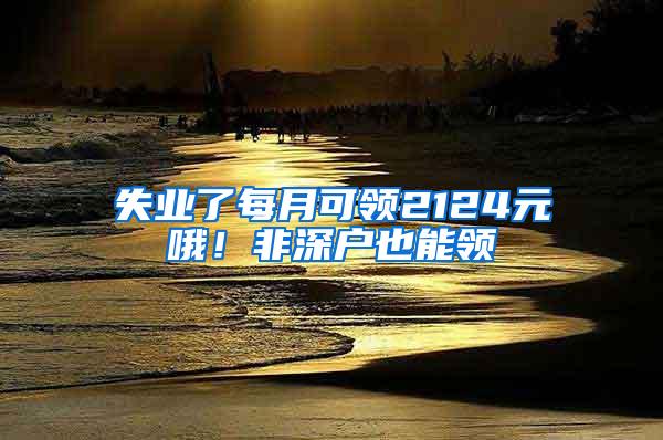 失业了每月可领2124元哦！非深户也能领