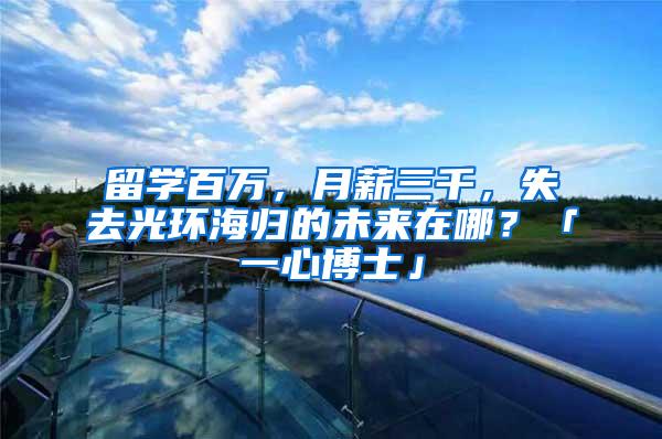 留学百万，月薪三千，失去光环海归的未来在哪？「一心博士」