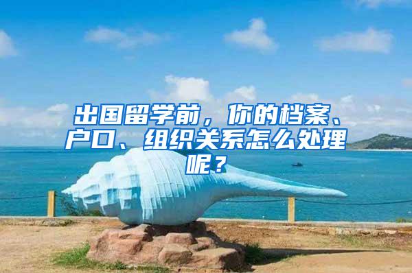 出国留学前，你的档案、户口、组织关系怎么处理呢？