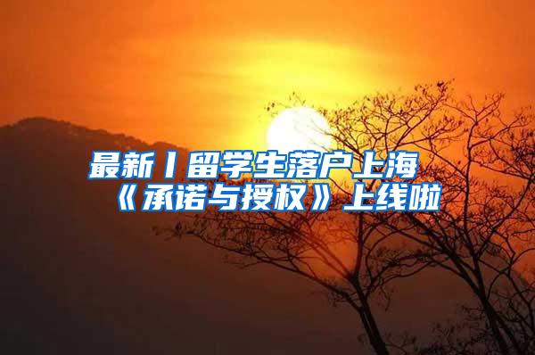 最新丨留学生落户上海《承诺与授权》上线啦