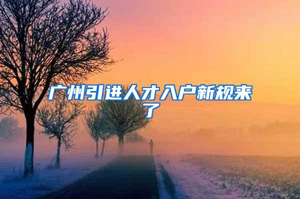 广州引进人才入户新规来了