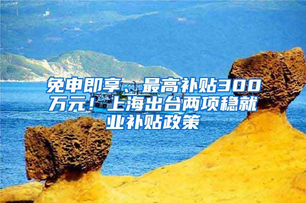 免申即享、最高补贴300万元！上海出台两项稳就业补贴政策