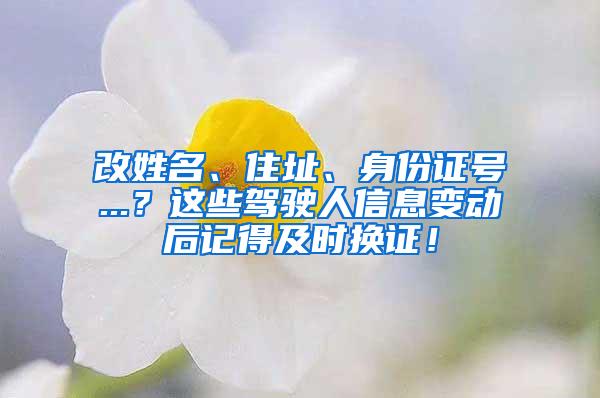 改姓名、住址、身份证号...？这些驾驶人信息变动后记得及时换证！