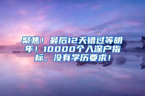 聚焦！最后12天错过等明年！10000个入深户指标，没有学历要求！