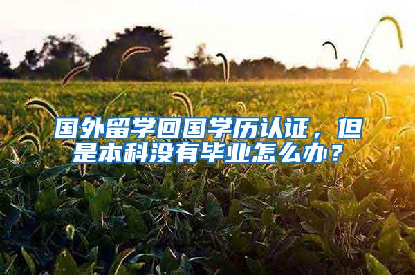 国外留学回国学历认证，但是本科没有毕业怎么办？