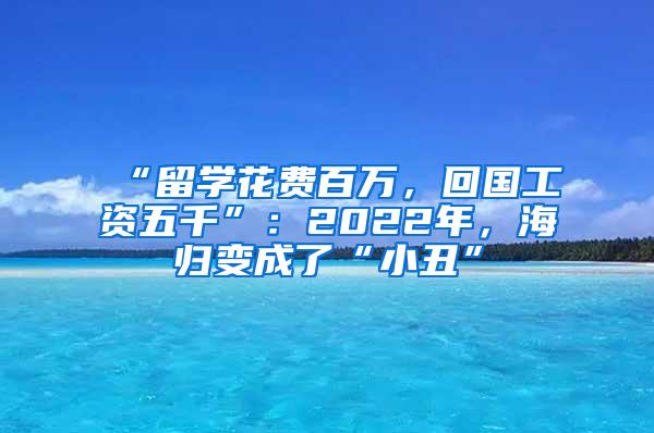 “留学花费百万，回国工资五千”：2022年，海归变成了“小丑”