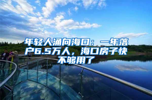年轻人涌向海口：一年落户6.5万人，海口房子快不够用了