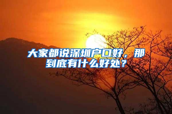 大家都说深圳户口好，那到底有什么好处？