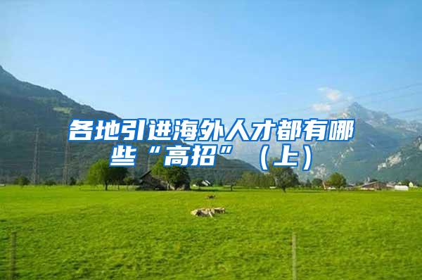 各地引进海外人才都有哪些“高招”（上）