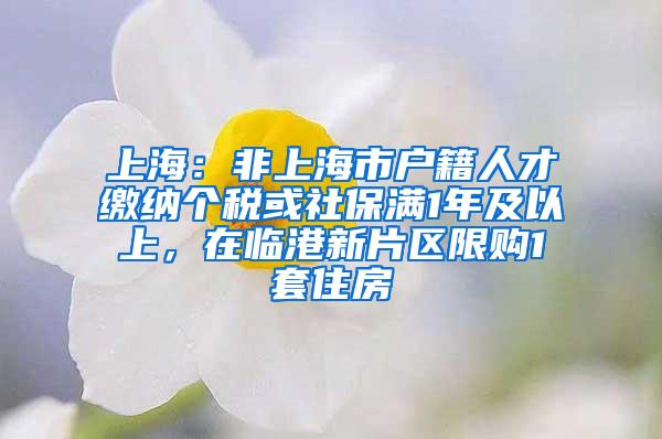 上海：非上海市户籍人才缴纳个税或社保满1年及以上，在临港新片区限购1套住房