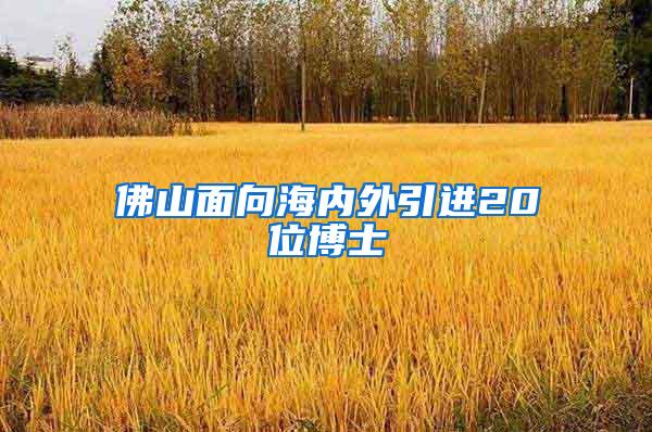 佛山面向海内外引进20位博士