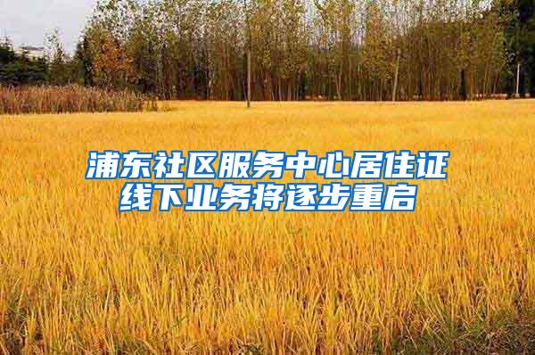 浦东社区服务中心居住证线下业务将逐步重启