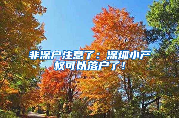 非深户注意了：深圳小产权可以落户了！