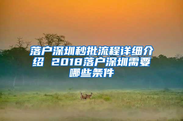落户深圳秒批流程详细介绍 2018落户深圳需要哪些条件