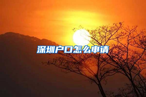 深圳户口怎么申请