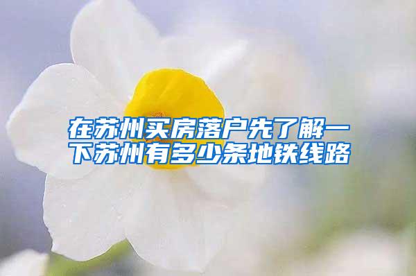 在苏州买房落户先了解一下苏州有多少条地铁线路