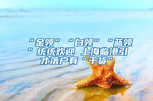 “金领”“白领”“蓝领”统统欢迎 上海临港引才落户有“干货”