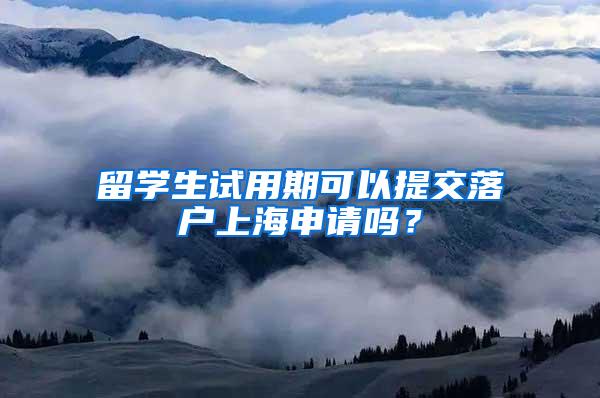 留学生试用期可以提交落户上海申请吗？
