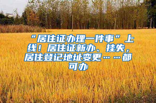 “居住证办理一件事”上线！居住证新办、挂失，居住登记地址变更……都可办